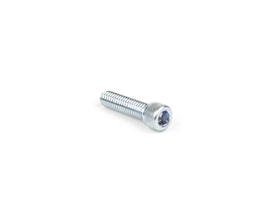 CM Loose End Screw