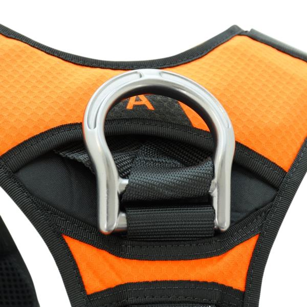 KONG X-FIVE HARNESSES - Image 3