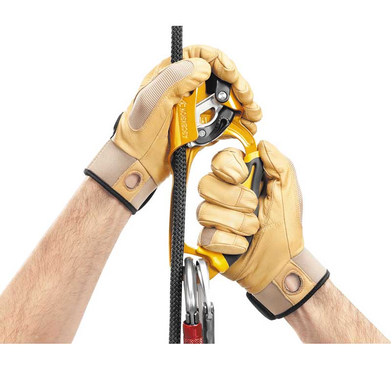 Petzl ASCENSION Ascender - Image 3