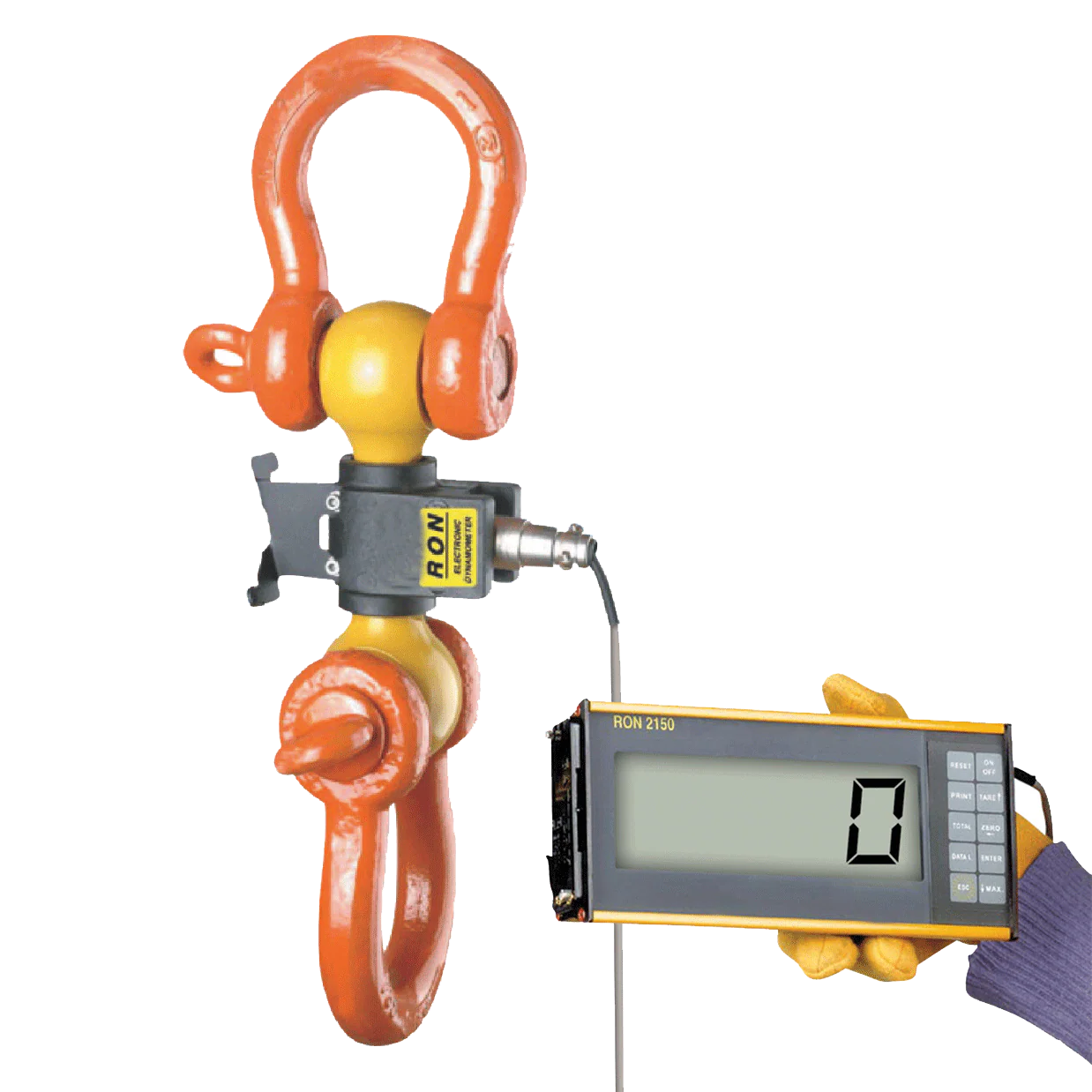 Eilon Engineering Ron Crane Scales™ Ron 2150 Wired Dynamometer with 2"/50mm Attachable Display - Image 2