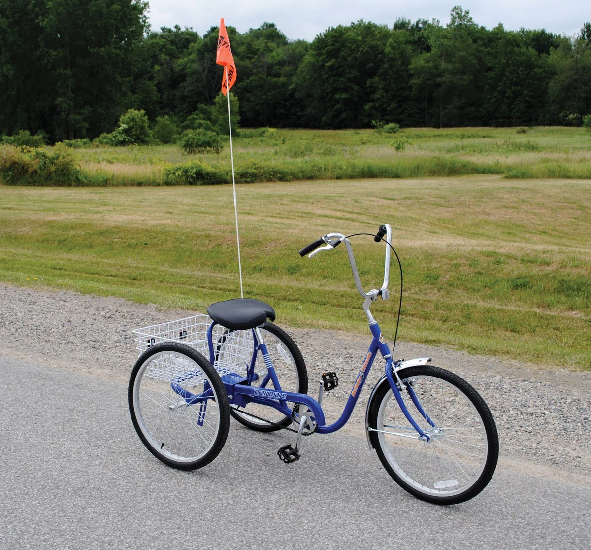 Vestil Manufacturing Corp Industrial Bicycles - Image 3