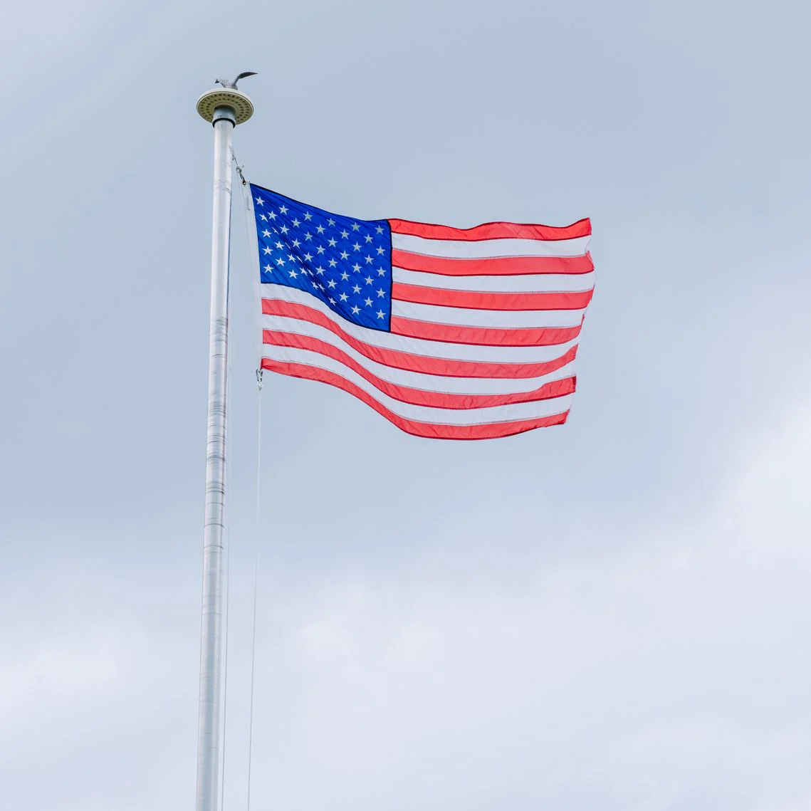 Vestil Manufacturing Corp Stainless Steel Flag Poles and American Flags - Image 2